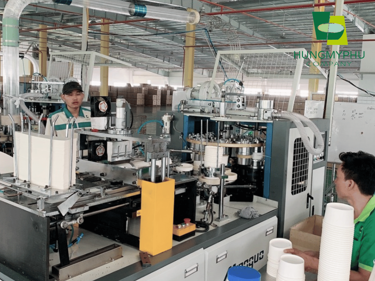 Sản xuất ly tô giấy