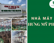 Nhà Máy Hưng Mỹ Phú: Bước Chuyển Mình Mạnh Mẽ Với Địa Chỉ Mới Và Quy Mô Hiện Đại